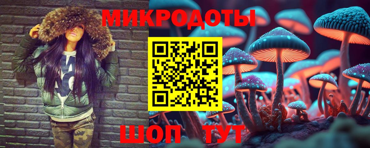 Елец  Галлюциногенные грибы мицелий  Вход с VPN  Псилоцибиновые грибы ЛСД 