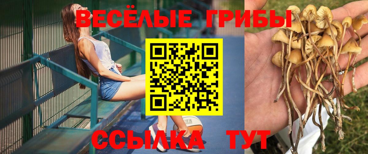 Псилоцибиновые грибы MAGIC MUSHROOMS Елец